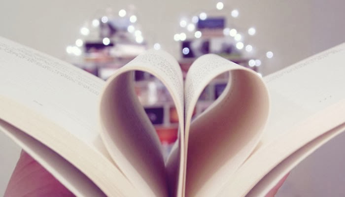 Se perguntarem por mim, digam que voei