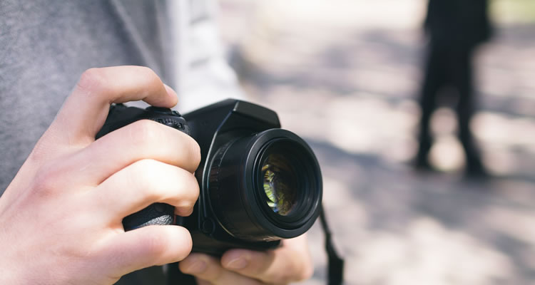 Feeds Favoritos Instagram