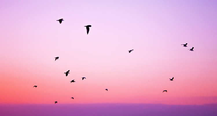 Primeiro Concurso Fotográfico