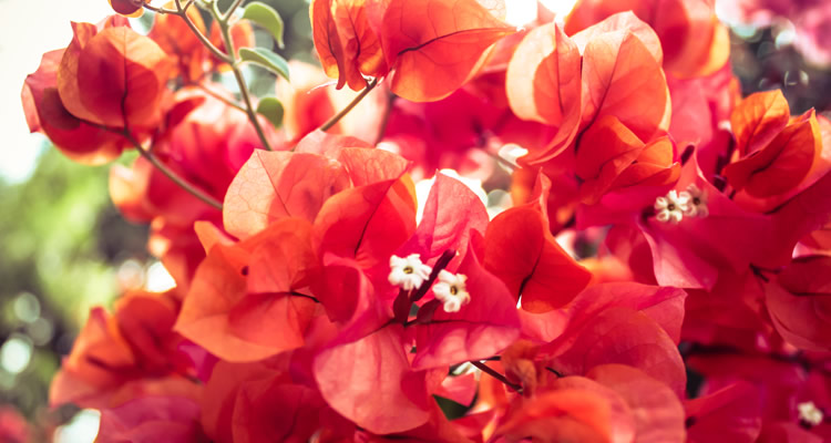 Instagram Week January