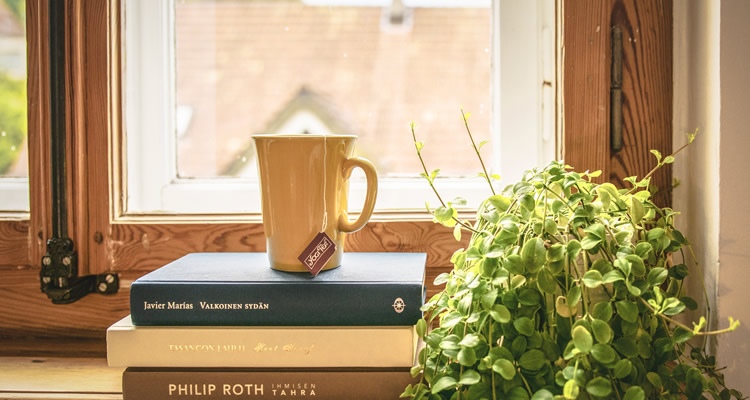 Tour pela minha estante