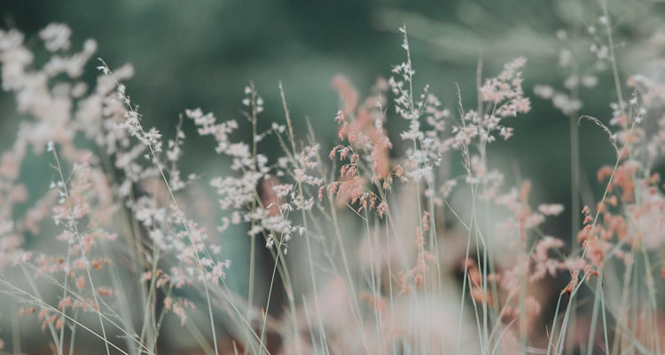 Fotografia para inspirar