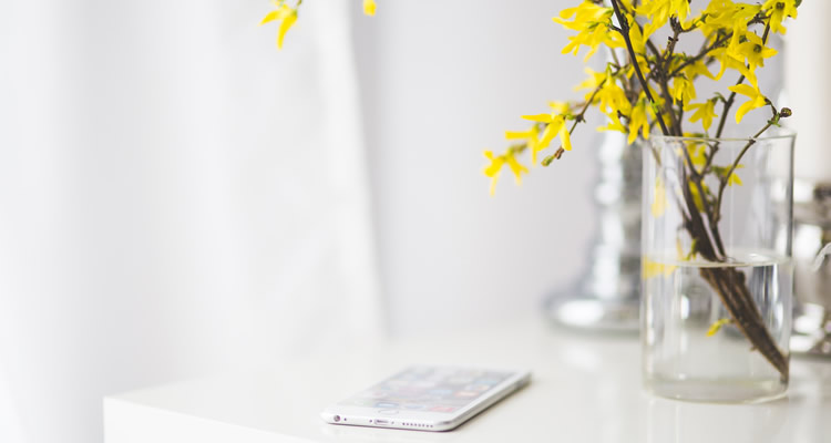 Rotaroots Blogosfera