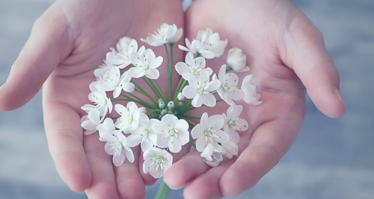 Flortografando: perfume e beleza em cada flor pelo caminho