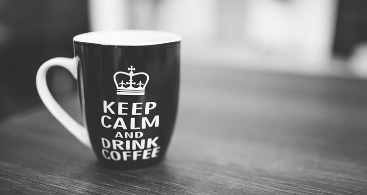 Conhecendo a Rag Doll