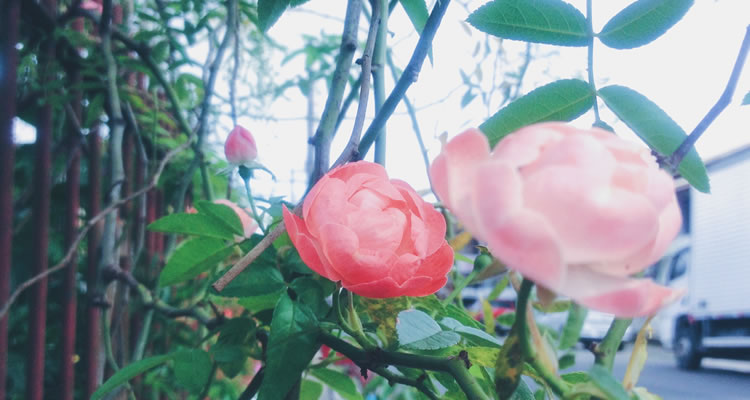 Projeto Fotográfico 6 on 6