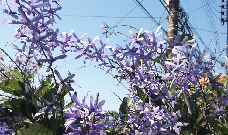 Projeto Fotográfico 6 on 6