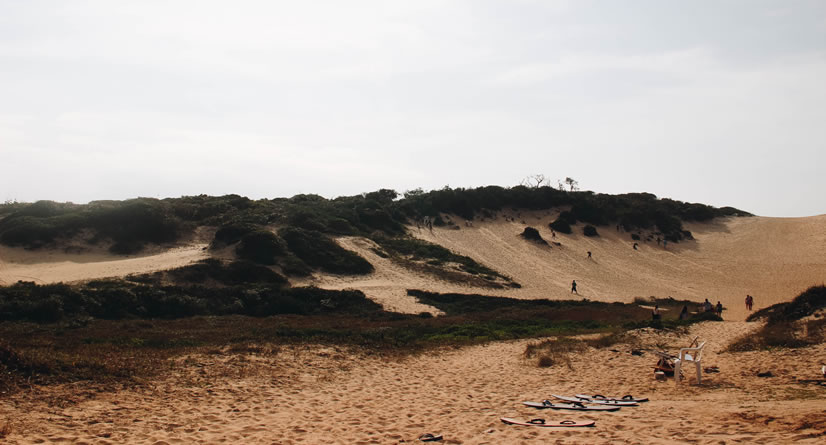 Dunas em São Francisco do Sul