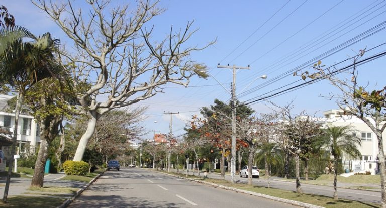 Projeto Fotográfico 5 on 5 – Primavera