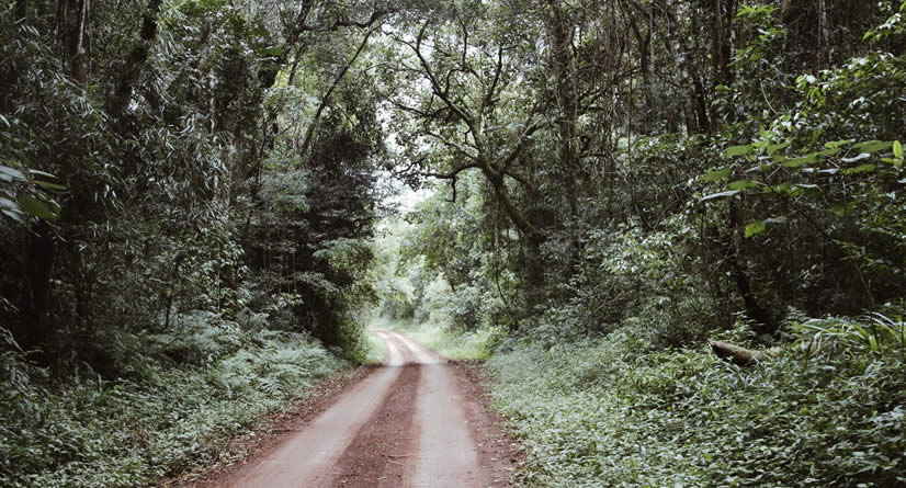 Salto do Yucumã