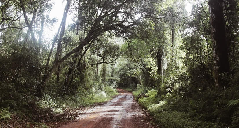 Salto do Yucumã