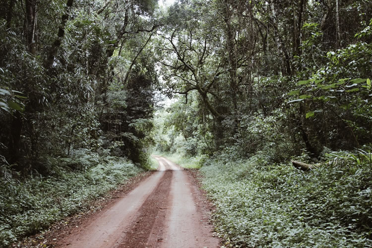 Projeto Fotográfico 5 on 5: Férias