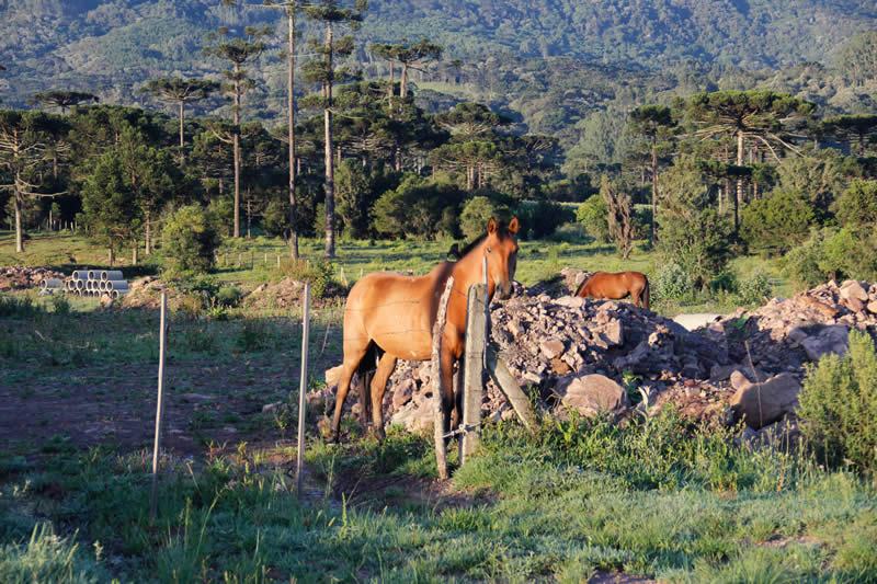 Serra do Rio do Rastro