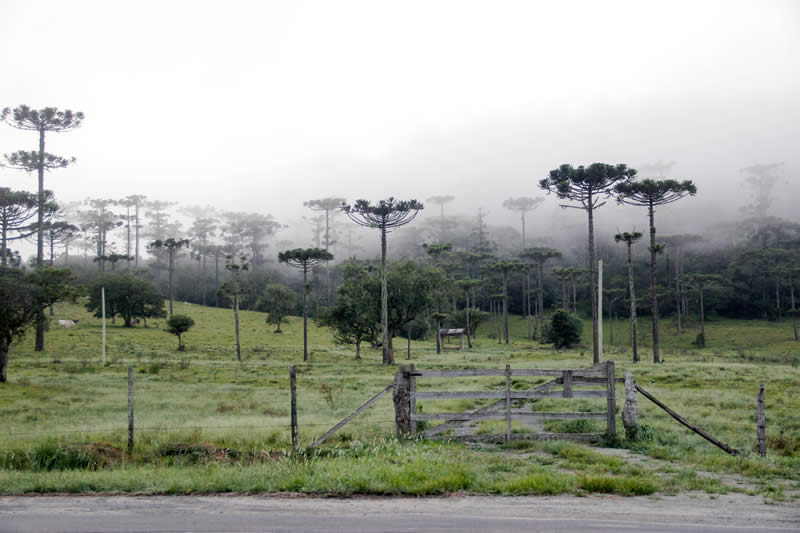 Serra do Rio do Rastro