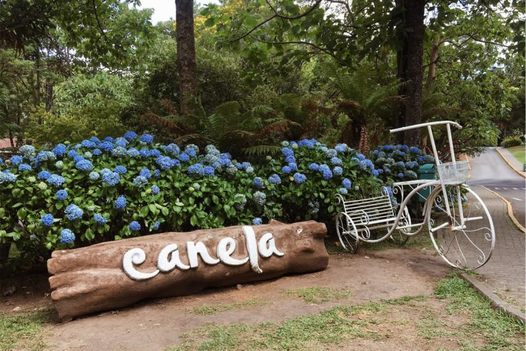 O que Fazer em Canela-RS? Parte II