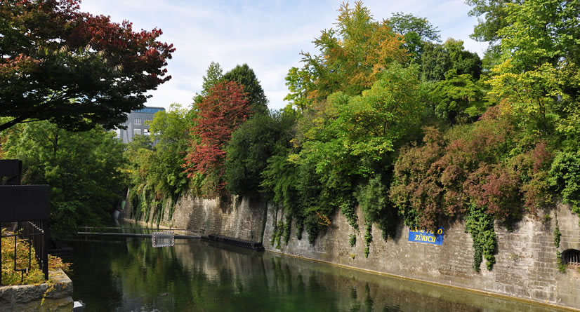 Botanischer Garten