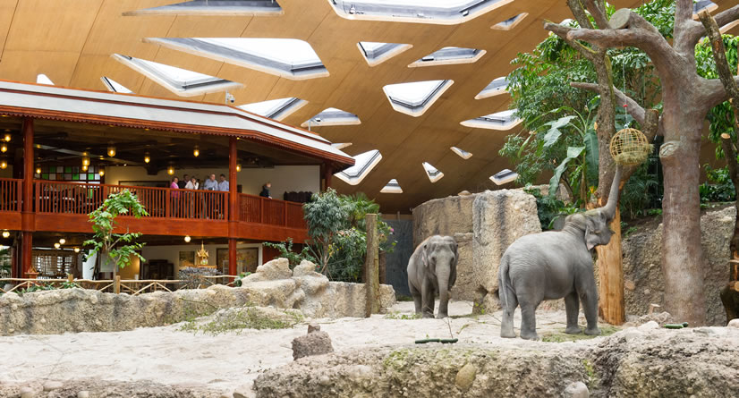 Zoo Zurich