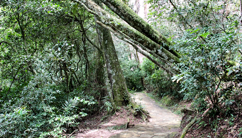 Parque Estadual Vila Velha
