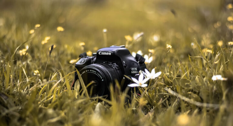 Motivos para fotografar com o celular