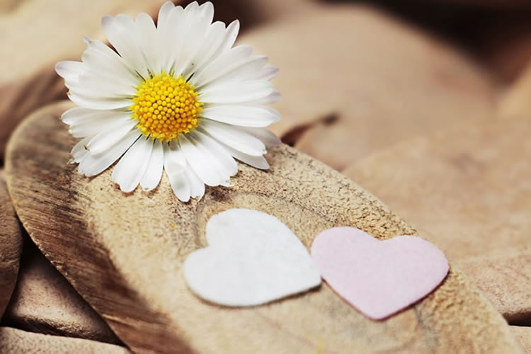 Motivos para agradecer 2017