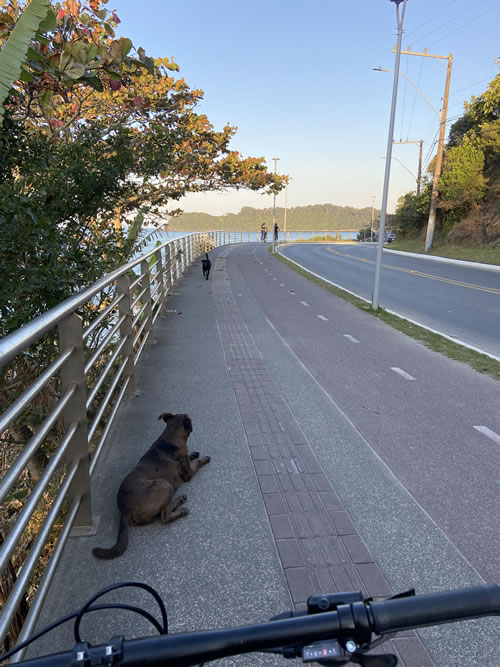 comprei uma bicicleta