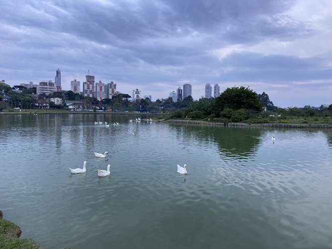 Parque Barigui