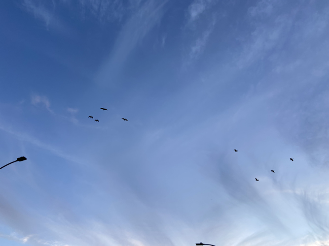 Cloud