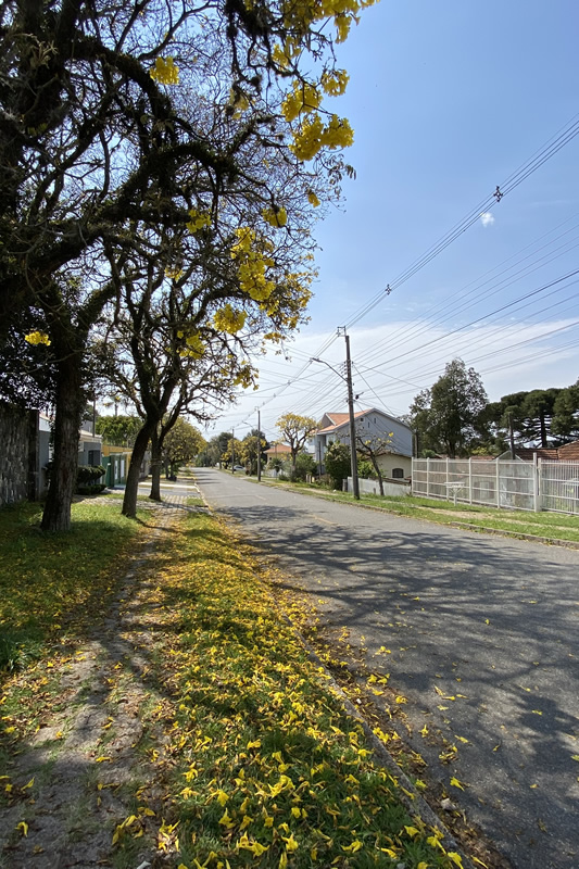 Curitiba