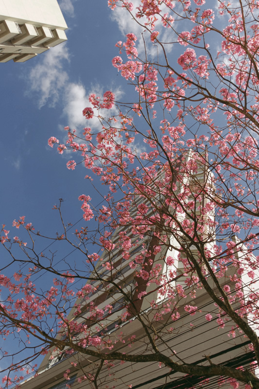 fotografia