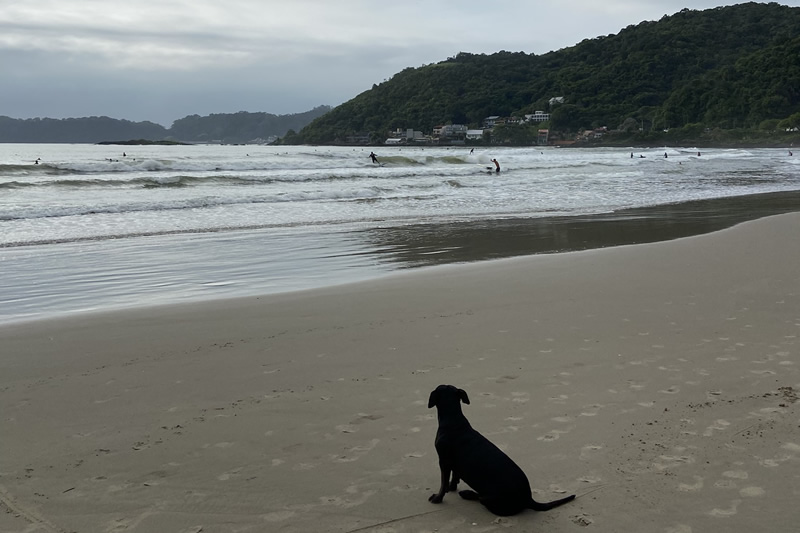 molhe de itajaí