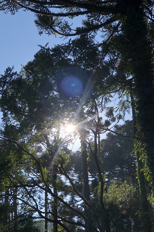 nascer do sol