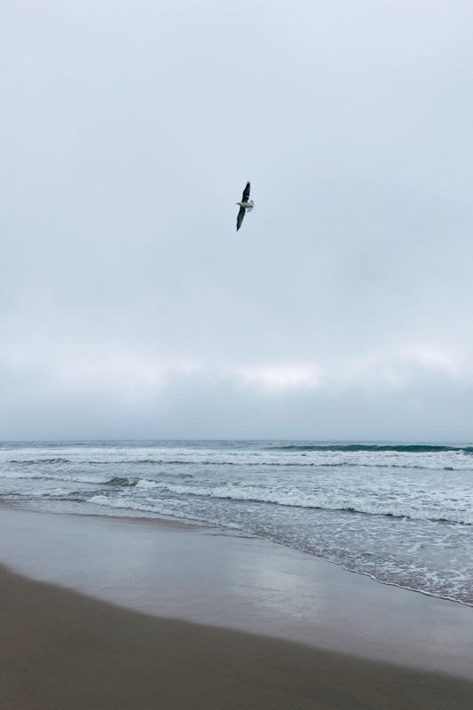 neblina na praia