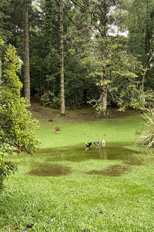 Gramado