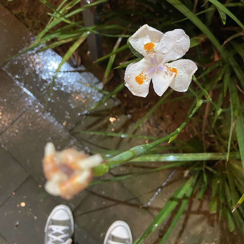 chuva em itajaí
