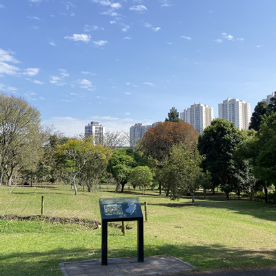 Curitiba